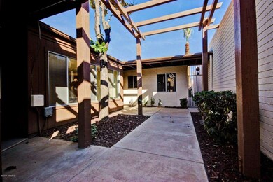 Royal Palm (4)