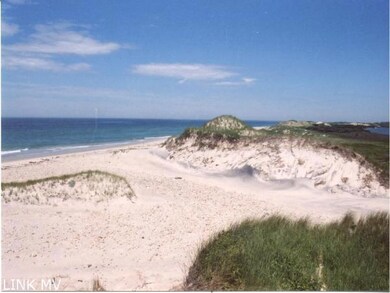 39 Spruce Gate Rd, Chilmark, MA 02535 - photo 5