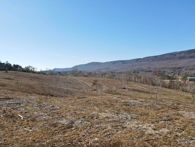 0 Industrial Pike, Whitwell, TN 37397 - photo 6