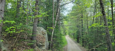 Lot 19 Scrag Mountain Rd, Sugar Hill, NH 03586 - photo 2
