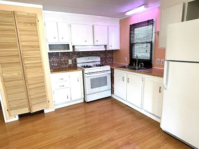 269 Duke Dr, Lynwood, IL 60411 - photo 4