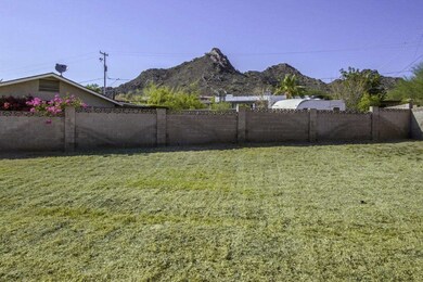 BackyardMtView_0811