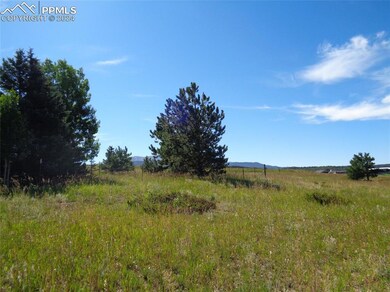 33 Grandview Cir, Divide, CO 80814 - photo 4