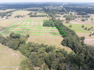 Tbd Begnaud Rd unit Lot 18, Sunset, LA 70584 - photo 5