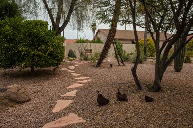 Huge Private Back Yard 2