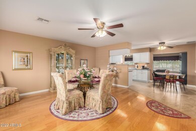 10202 W Caron Dr, Sun City, AZ 85351 - photo 5