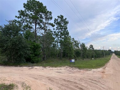 2104 Main St, Hawthorne, FL 32640 - photo 2