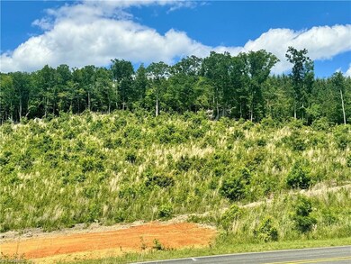 Tract 2 Browers Chapel Rd, Asheboro, NC 27205 - photo 4