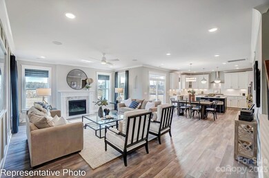 4185 Roberta Rd unit Lot 249, Concord, NC 28027 - photo 4