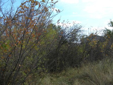 View Lot 03A to 905 Arlington