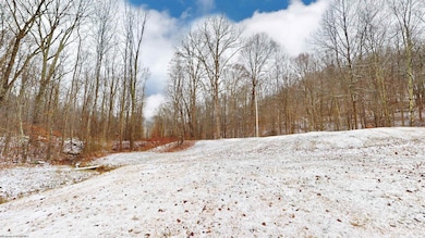 60 Stonehouse Hollow Rd, Grafton, WV 26354 - photo 3