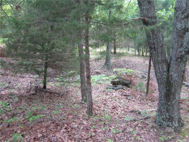 17039 Bethlehem Rd, Winslow, AR 72959 - photo 5