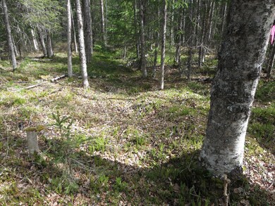 L9 Lyle Cir, Hope, AK 99605 - photo 2