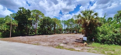 Lot view with different angles