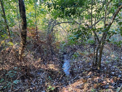 0 Highway 219 unit 11609592, Centreville, AL 35042 - photo 7