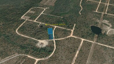 0 Union Dr, Alford, FL 32420 - photo 7