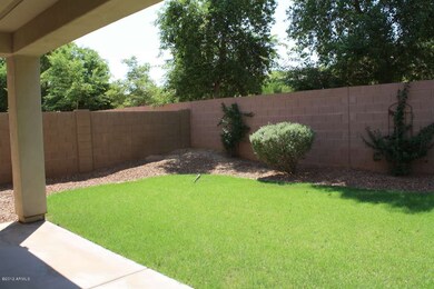 Grassy backyard