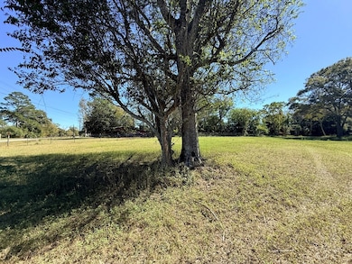 0 County Road 32, Newville, AL 36353 - photo 4