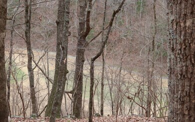 2786 Summit Dr, Ellijay, GA 30536 - photo 4