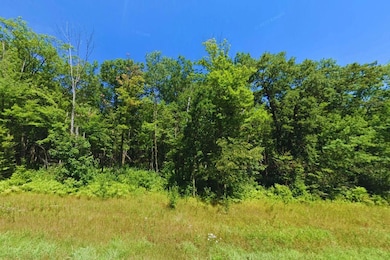 0 Flinstone Dr, Cushing, MN 56443 - photo 4