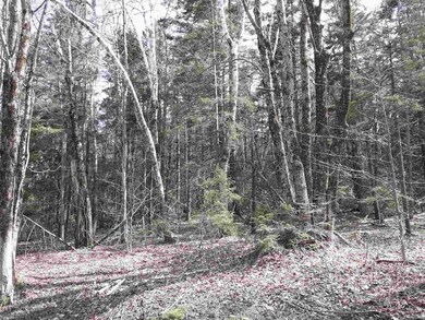 0 W Hill Dr unit 4798227, Readsboro, VT 05350 - photo 3