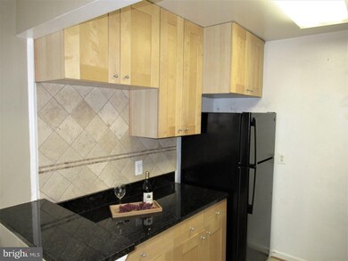 1954 Kennedy Dr unit T2, McLean, VA 22102 - photo 3