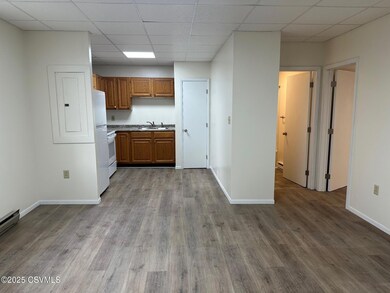 Living room / Kitchen