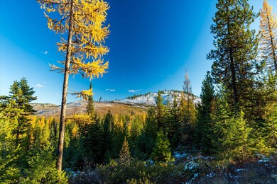 Nhn McGinnis Meadows - Bayhorse Road Section 5, Libby, MT 59923 - photo 7