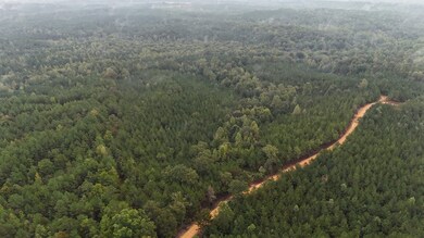 0 Scott Senter Rd, Fulton, MS 38843 - photo 4