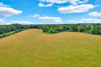 00 Byrdstown Hwy, Monroe, TN 38573 - photo 3