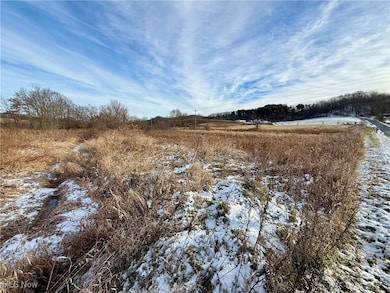 0 Mayham Rd NE, Carrollton, OH 44615 - photo 4