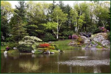 99 Florence St unit 103B, Chestnut Hill, MA 02467 - photo 3