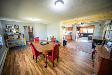 27289 590th St, Mantorville, MN 55955 - photo 6