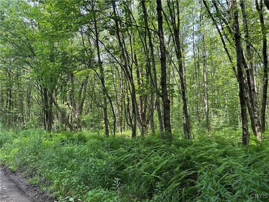 0 Kimball Camp Rd unit S1622094, Orwell, NY 13426 - photo 5