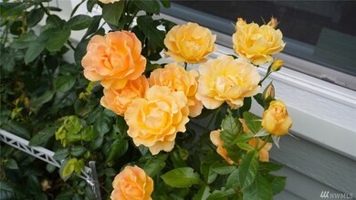 10409 137th St E unit 9, Puyallup, WA 98374 - photo 5