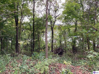 1633 Boone Hollow Rd, Battletown, KY 40104 - photo 2