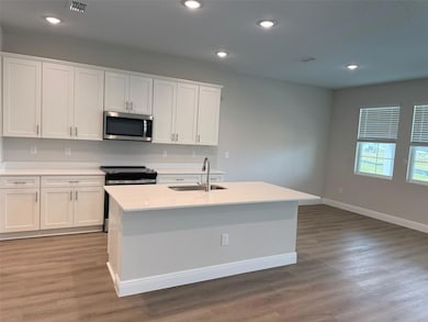 9874 Surrey Rose Dr, San Antonio, FL 33576 - photo 5