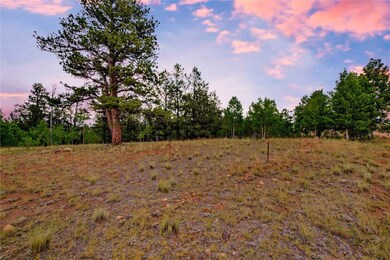 545 Buffalo Ridge Rd, Jefferson, CO 80456 - photo 7