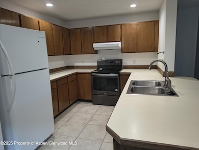 2820 Hager Ln unit 1D, Glenwood Springs, CO 81601 - photo 5