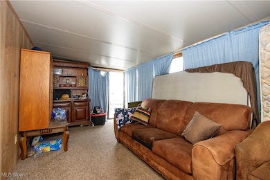 Living room featuring carpet flooring