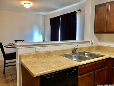 11914 Pure Silver, San Antonio, TX 78254 - photo 6