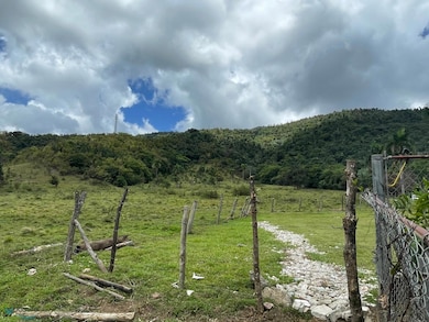 Interior Carr #969, Naguabo, PR 00718 - photo 3