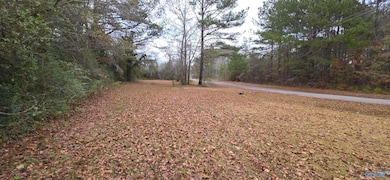 0.40 Dale St, Glencoe, AL 35905 - photo 6