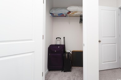 Washroom with light carpet