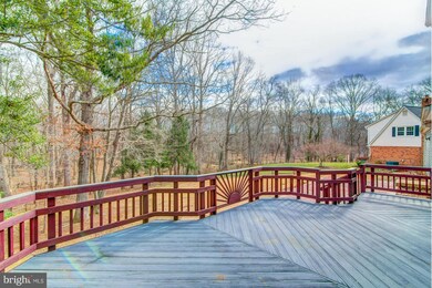 10101 Tamarack Dr, Vienna, VA 22182 - photo 5