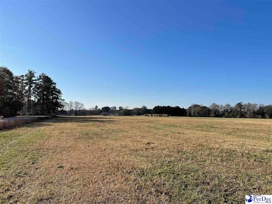 Hwy 9 Angelus Rd, Chesterfield, SC 29709 - photo 6