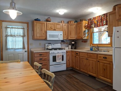 8977 S Jordan St, Idlewild, MI 49642 - photo 7