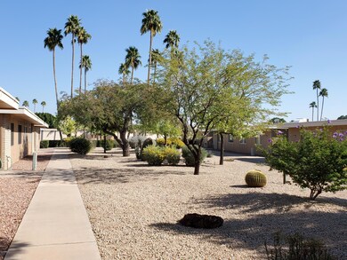 13674 N 108th Dr, Sun City, AZ 85351 - photo 2