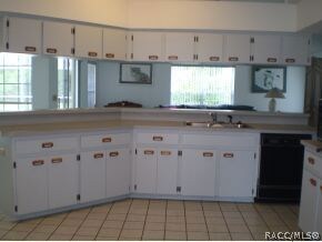 Another Kitchen view