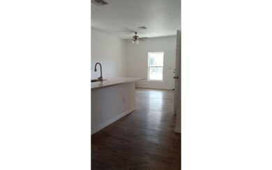 746 N Church Ave, Live Oak, FL 32064 - photo 5